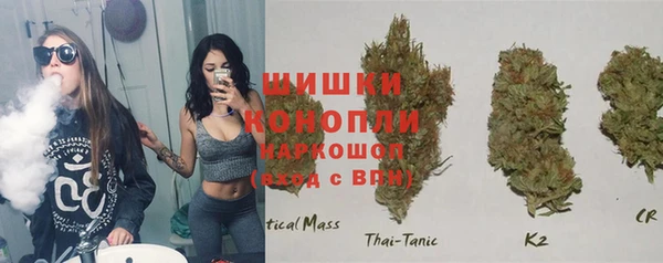 СК Надым