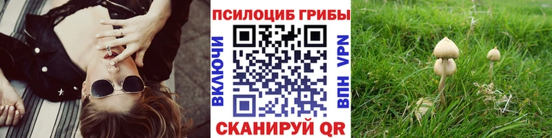 Галлюциногенные грибы Cubensis Новопавловск